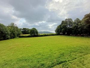 Photo 11- click for photo gallery